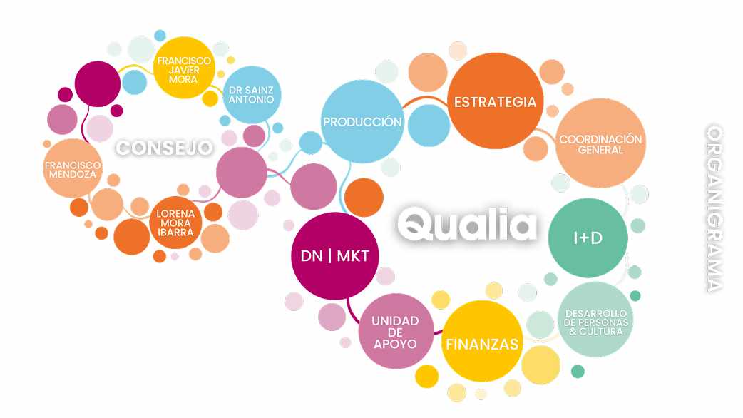Organigrama Qualia
